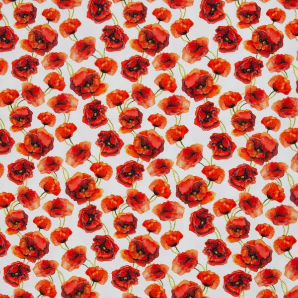 - Kopie - Kopie - Kopie